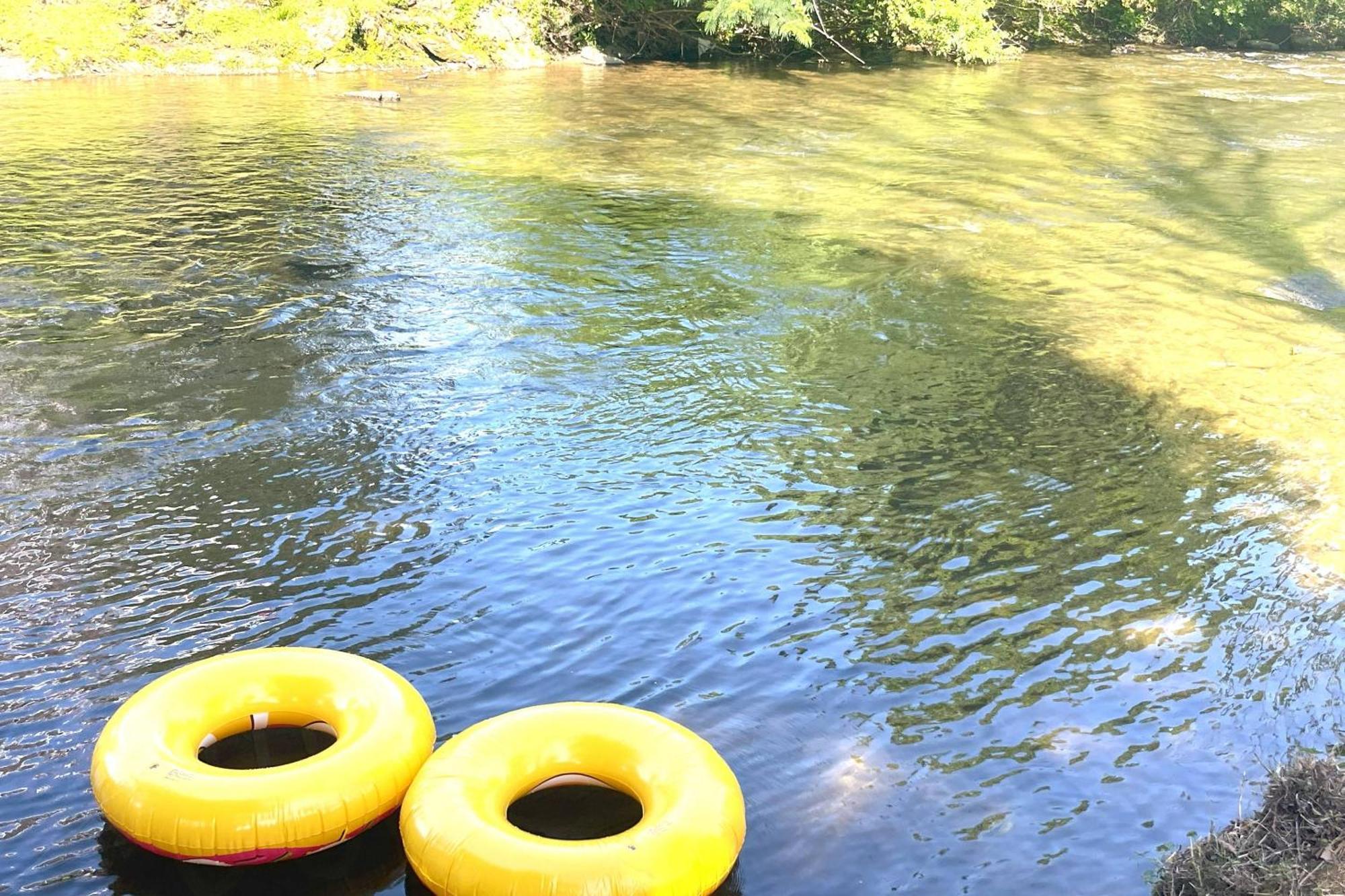 פיג'ן פורג' Mill Stream Cottage מראה חיצוני תמונה